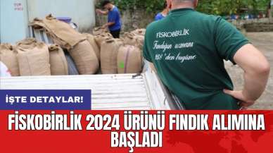 FİSKOBİRLİK 2024 ürünü fındık alımına başladı