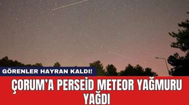 Görenler hayran kaldı! Çorum'a Perseid meteor yağmuru yağdı