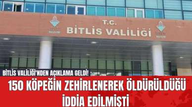 Bitlis Valiliği'nden Açıklama Geldi! 150 Köpeğin Zehirlenerek Öldürüldüğü İddia Edilmişti