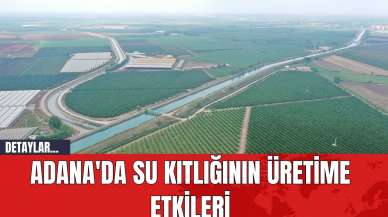 Adana'da Su Kıtlığının Üretime Etkileri