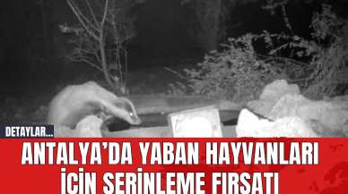 Antalya’da yaban hayvanları için serinleme fırsatı