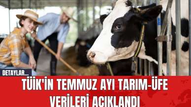 TÜİK'in Temmuz Ayı Tarım-ÜFE Verileri Açıklandı