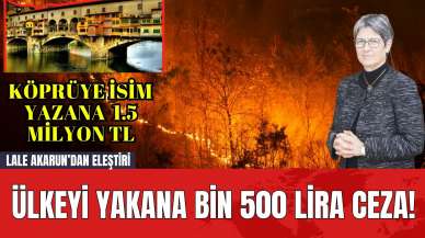 Ülkeyi Yakana Bin 500 Lira Ceza