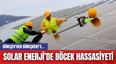 GÜNEŞEV’DEN  GÜNEŞKENT’E… SOLAR ENERJİ’DE BÖCEK HASSASİYETİ