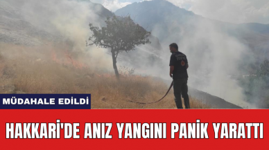 Hakkari'de anız yangını panik yarattı