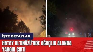 Hatay Altınözü'nde ağaçlık alanda yangın çıktı