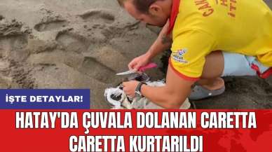 Hatay'da çuvala dolanan caretta caretta kurtarıldı