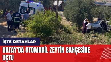 Hatay'da otomobil zeytin bahçesine uçtu