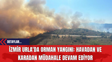 İzmir Urla'da Orman Yangını: Havadan ve Karadan Müdahale Devam Ediyor