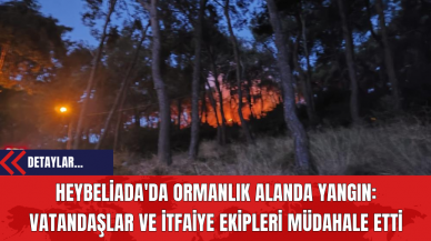 Heybeliada'da Ormanlık Alanda Yangın: Vatandaşlar ve İtfaiye Ekipleri Müdahale Etti