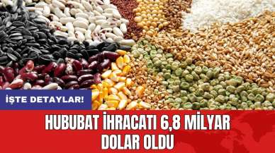 Hububat ihracatı 6,8 milyar dolar oldu