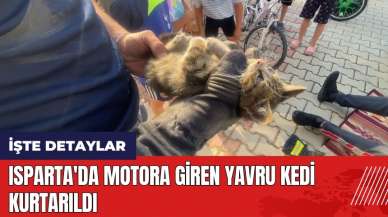 Isparta'da motora giren yavru kedi kurtarıldı