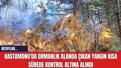 Kastamonu'da Ormanlık Alanda Çıkan Yangın Kısa Sürede Kontrol Altına Alındı