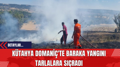 Kütahya Domaniç'te Baraka Yangını Tarlalara Sıçradı