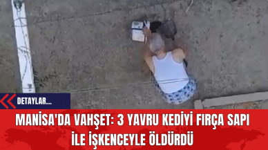 Manisa'da Vahşet: 3 Yavru Kediyi Fırça Sapı İle İşkenceyle Öldürdü