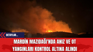 Mardin Mazıdağı'nda Anız ve Ot Yangınları Kontrol Altına Alındı