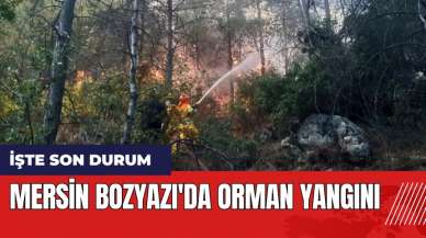 Mersin Bozyazı'da orman yangını