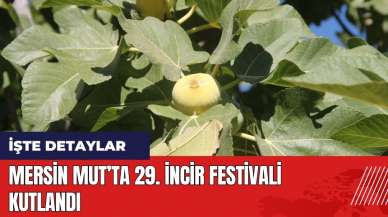 Mersin Mut’ta 29. İncir Festivali kutlandı