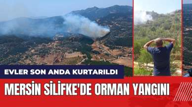 Mersin Silifke'de orman yangını! Evler son anda kurtarıldı