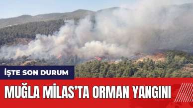 Muğla Milas'ta orman yangını