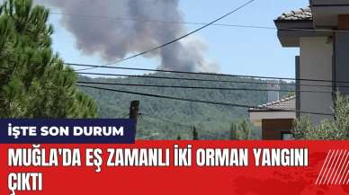 Muğla'da eş zamanlı iki orman yangını çıktı