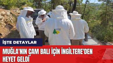 Muğla'nın çam balı için İngiltere'den heyet geldi