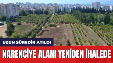 Narenciye Alanı Yeniden İhalede! Uzun Süredir Atıl Durumdaydı