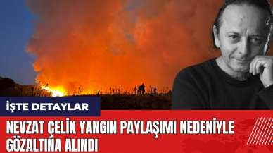 Nevzat Çelik yangın paylaşımı nedeniyle gözaltına alındı