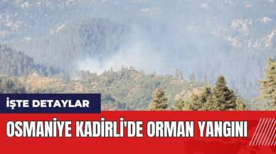 Osmaniye Kadirli'de orman yangını