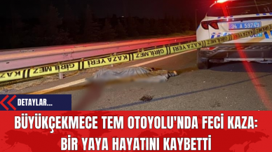 Büyükçekmece TEM Otoyolu'nda Feci Kaza: Bir Yaya Hayatını Kaybetti