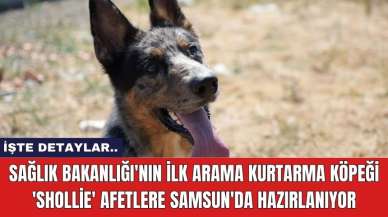 Sağlık Bakanlığı'nın ilk arama kurtarma köpeği 'Shollie' afetlere Samsun'da hazırlanıyor