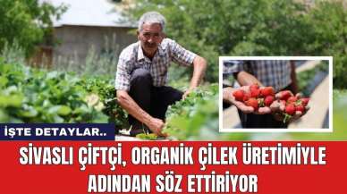 Sivaslı Çiftçi, Organik Çilek Üretimiyle Adından Söz Ettiriyor