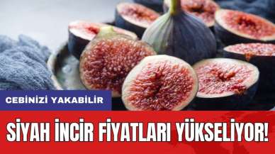 Siyah incir fiyatları yükseliyor: Cebinizi yakabilir