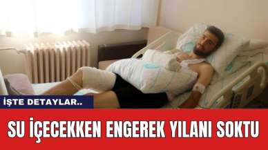 Su İçecekken Engerek Yılanı Soktu