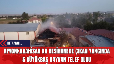 Afyonkarahisar'da Besihanede Çıkan Yangında 5 Büyükbaş Hayvan Telef Oldu