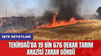 Tekirdağ'da 19 bin 676 dekar tarım arazisi zarar gördü