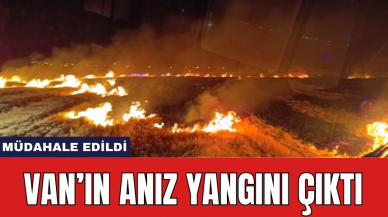 Van’ın anız yangını çıktı