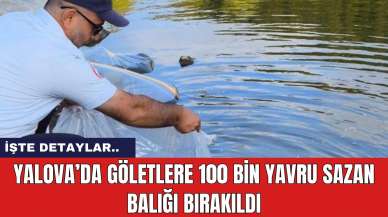 Yalova’da göletlere 100 bin yavru sazan balığı bırakıldı