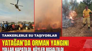 Muğla Yatağan'daki orman yangınında 3 köy boşaltıldı