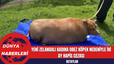 Yeni Zelandalı Kadına Obez Köpek Nedeniyle İki Ay Hapis Cezası