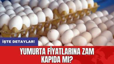 Yumurta fiyatlarına zam kapıda mı?