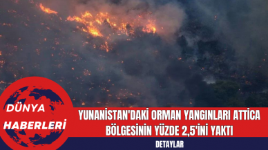 Yunanistan'daki Orman Yangınları Attica Bölgesinin Yüzde 2,5'ini Yaktı