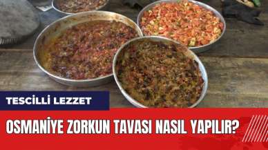 Zorkun Yaylası'ndan tescilli lezzet: Osmaniye Zorkun Tavası Nasıl Yapılır?