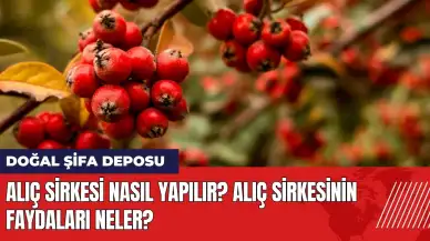 Alıç Sirkesi nasıl yapılır? Alıç sirkesinin faydaları neler?