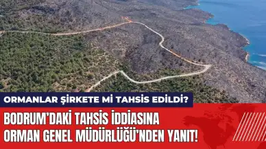 Bodrum’daki tahsis iddiasına Orman Genel Müdürlüğü’nden yanıt!