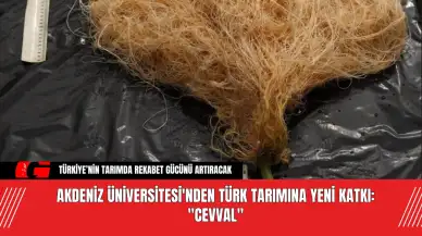 Akdeniz Üniversitesi'nden Türk tarımına yeni katkı: "Cevval"