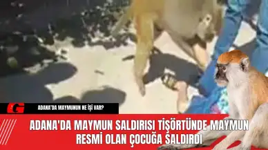 Adana'da Maymun Saldırısı Tişörtünde Maymun Resmi Olan Çocuğa Saldırdı