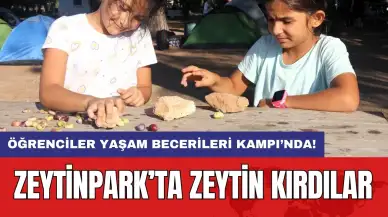 Öğrenciler Yaşam Becerileri Kampı'nda: Zeytinpark’ta zeytin kırdılar