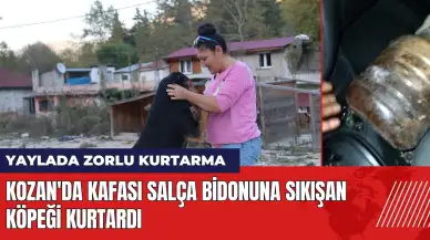 Kozan'da kafası salça bidonuna sıkışan köpeği kurtardı