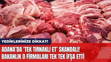 Adana’da tek tırnaklı et skandalı! Bakanlık o firmaları ifşa etti